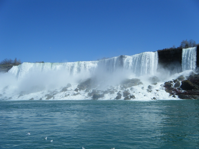 chrisniaraga 270.jpg